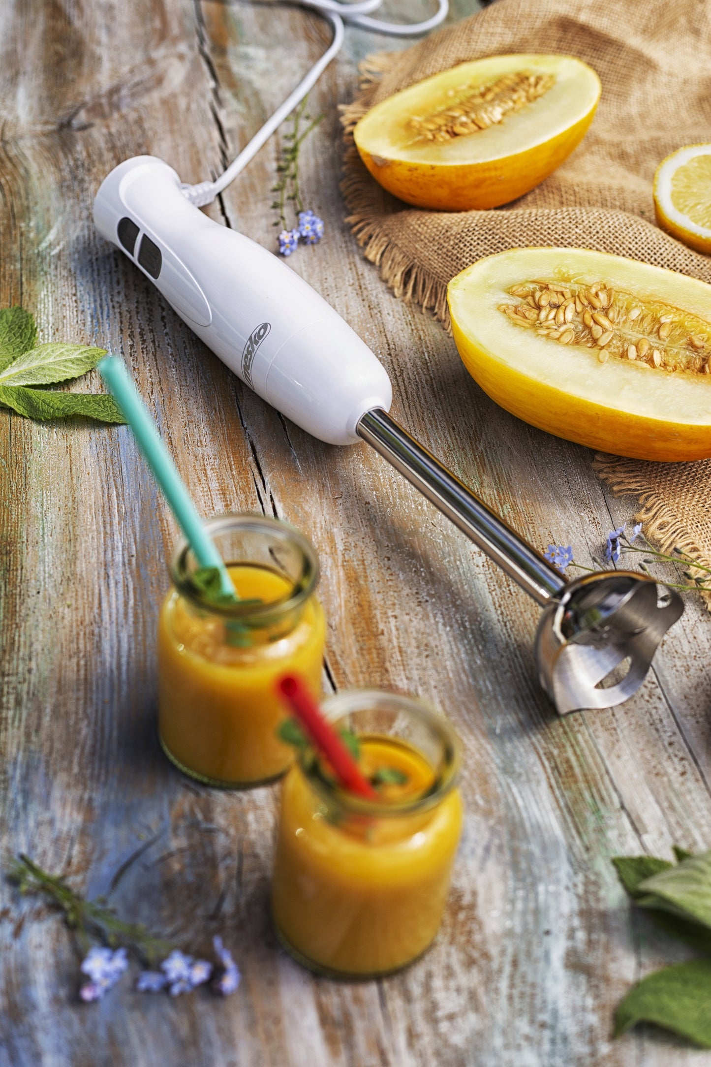 Mesko MS 4619 Hand Blender 0090887