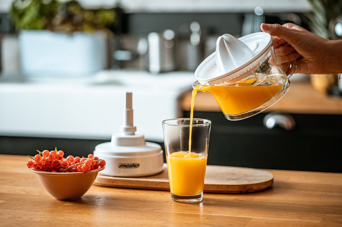 Mesko MS 4010 Citrus juicer 00449